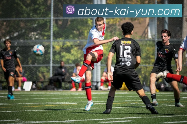 开云平台生态图